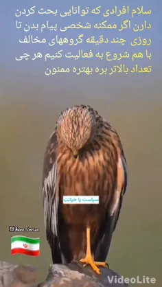 سلام دوستان افرادی که توانایی بحث کردن دارن شخصی پیام بدن