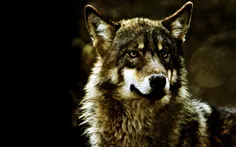 گرگ را به از سگ دوست دارم ✴❇✳تن به مرگ میدهد ولی گردن به 