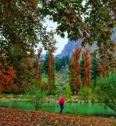 به نظرتون کجاست؟