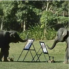 فیل‌هایی که نقاشی میکشند !