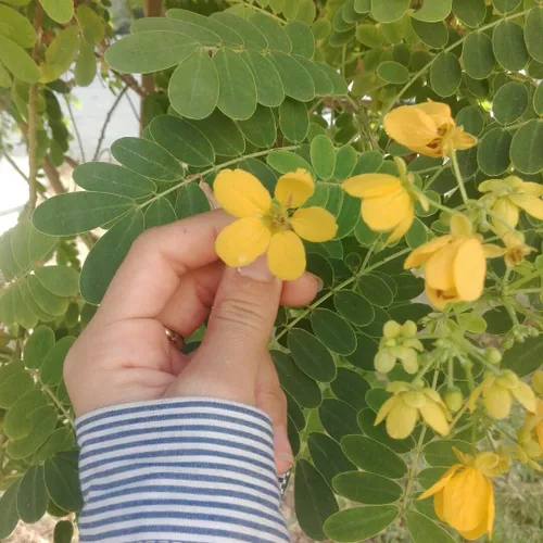 از انرژی مثبتای روزانه🌻🐞گاهی وقتا با دیدن همینا هم ادم سر