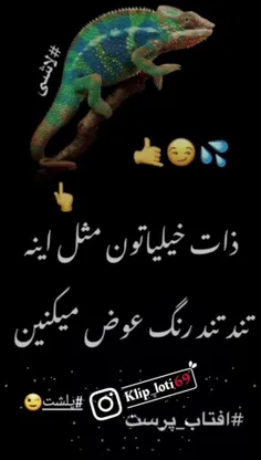 #پلشت_لاشی😒🖕🏻