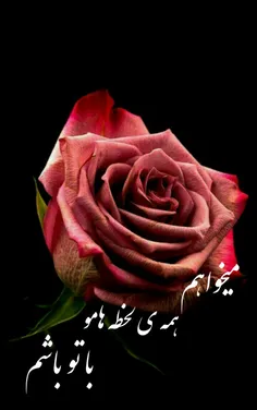 عکس نوشته ali999999 21974560