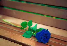 گلی