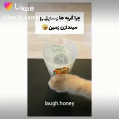 آی ترکیدم😂😂💔
لایک و فالو کنید با اکانت دیگم فالو می‌شید❤️