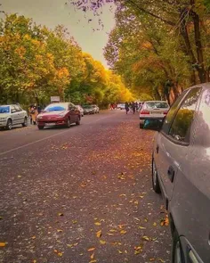 نمای پاییزی از دانشگاه تبریز🍁🍂🍁🍂