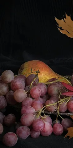 #Fruit