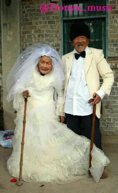 پیر ترین عروس و داماد 