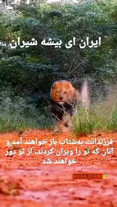 ایران ای بیشه شیران....
