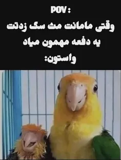 حقققققققققق 😂😂😂👍💔