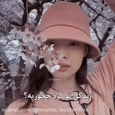 عه لجه ها برگشتمممم