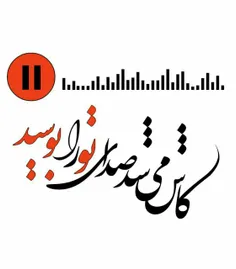 کاش می شد صدای تو را بوسید ..