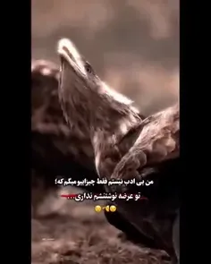 لایک و فالو یادت نره قشنگم❤