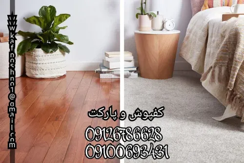  paperhouseno1 69443814 - عکس ویسگون