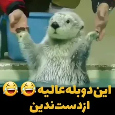 لایک یادتون نره 👍