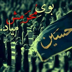 #محــــــرم آمــد..!