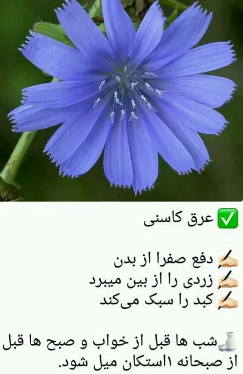 سلامت و تندرستی hosseinnaseri1300 21037200 - عکس ویسگون