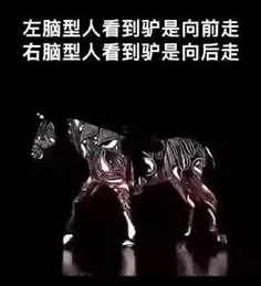 یک طراح چینی اینو طراحی کرده اگه اسب به جلو رفت شما چپ مغ