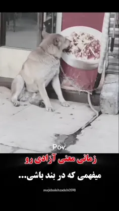 آزادی... 