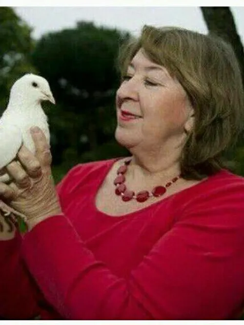 "والری ویتنگهام" خانمی است که یک کبوتر 24 ساله را در خانه