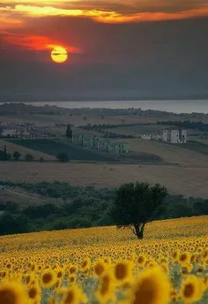 Tuscany , Italy