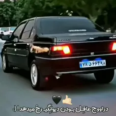 در اوج عاقل بودن دیوانگی رخ می دهد🖤