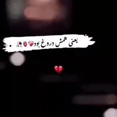 همش دروغ 