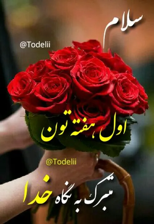 🌹 🌿 سلام