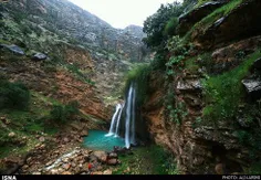 روستایی دردزفول