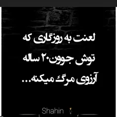 shahin9662 65072626