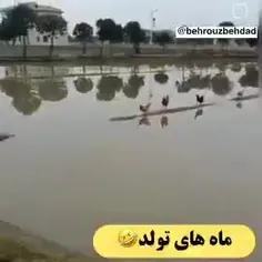 خودم خرداد🤦😂😂🧑‍🦯