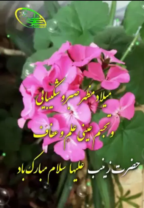 🕊 🌹 میلاد عقیله بنی هاشم، سمبل کمال عقل و بردباری