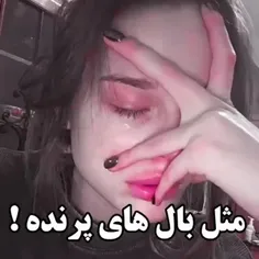 مثل‌بال‌های‌پرنده! ⚡🧸🌥