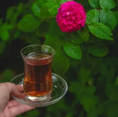 زندگی سهم مردم جدی نیست