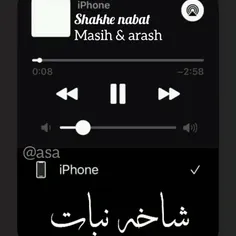 شاخه نبات ...🖤