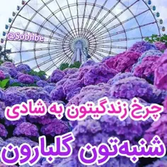 چرخ گردون چه بخندد چه