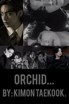 orchid p2(end) 