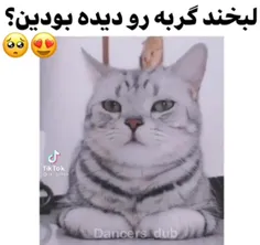 چه کیوتهههههههه