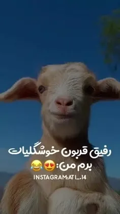 کانکش من😂 https://wisgoon.com/bigdark17