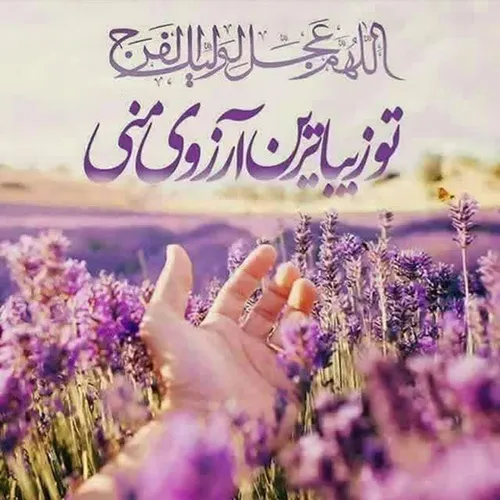 اللهم عجل لولیک الفرج یااباصالح ادرکنی 🙏 🌹 🌹