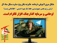 راهبرد خائنانه ی دولت های صهیونیستی در فضای مجازی در دست 