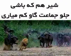 این عکس این متن نابود کرد👇👇👇