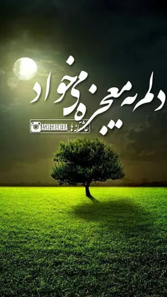 دلم یه معجزه میخواد....