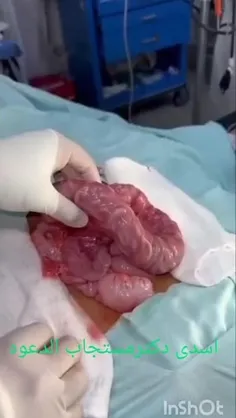 فقط میتونم بگم 