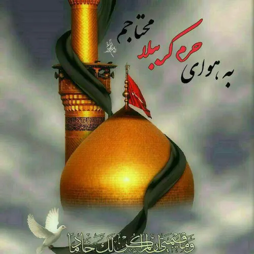 مذهبی mahdireza179 21217337 - عکس ویسگون