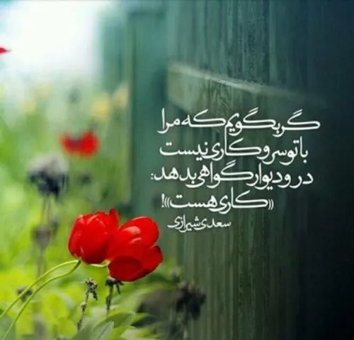 مشنو ای دوست که غیر از تو مرا یاری هست!