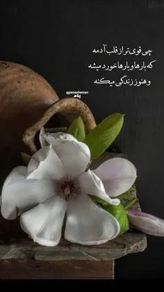 چی قوی تر از قلب آدمه