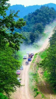 مسیر زیبای جنگل فندقلو در ١٠ کیلومتری شهرستان نمین  #اینج