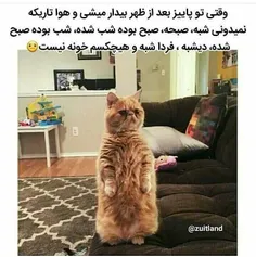 از رگ گردن بهمون نزدیک تره این روزاااا😄 😆 😆