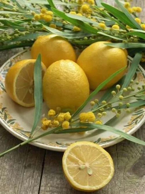 🍋 ده ثانیه به لیموترش فکر کنیم..